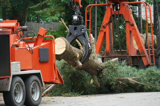 Mulching Services in Whitewater, CA
